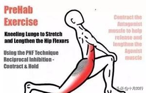 如何做到練臀不粗腿？動作選擇是其一，做到臀肌發力才是重點