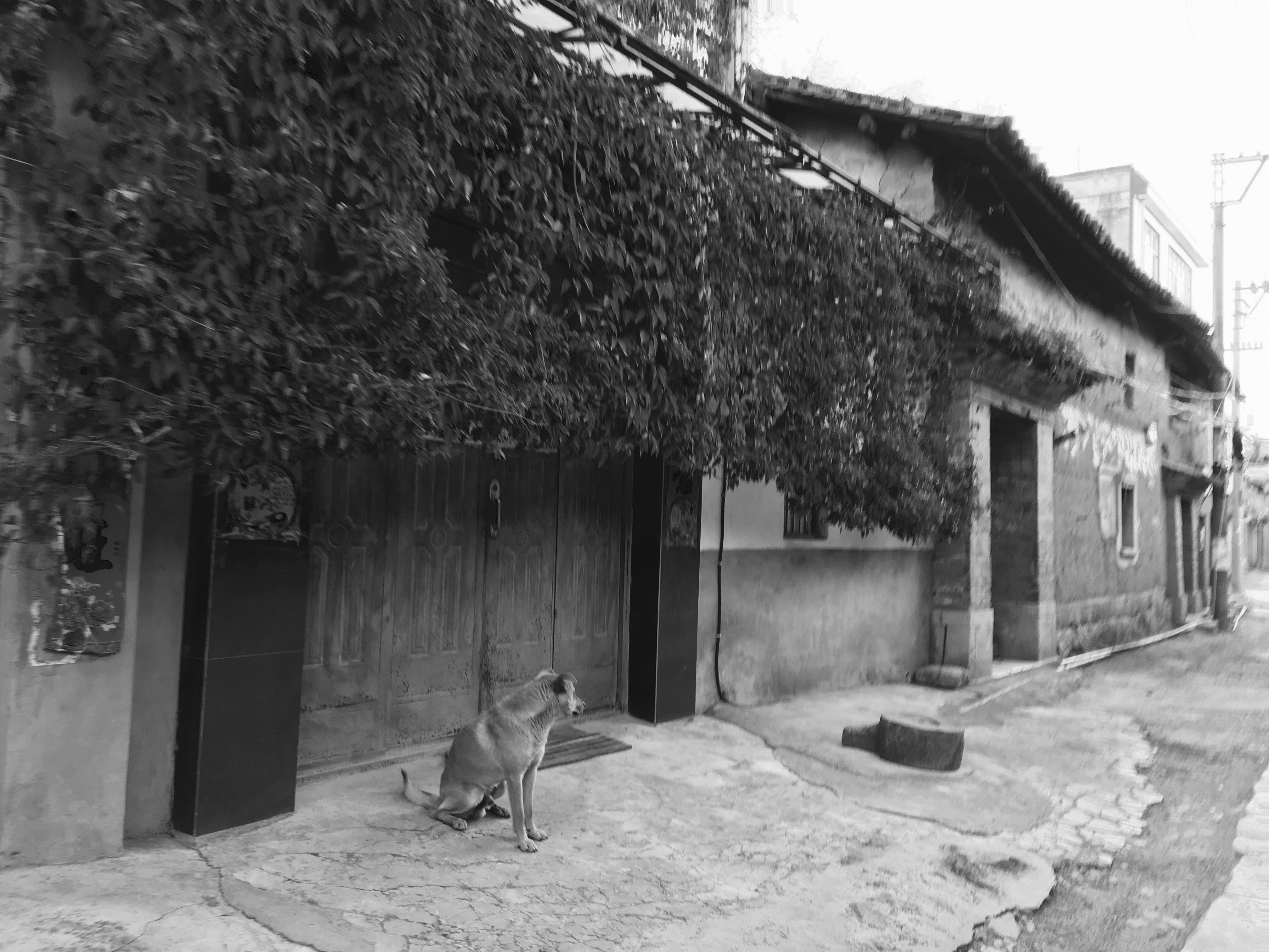 云南昆明呈贡大学城你不知道的景点！