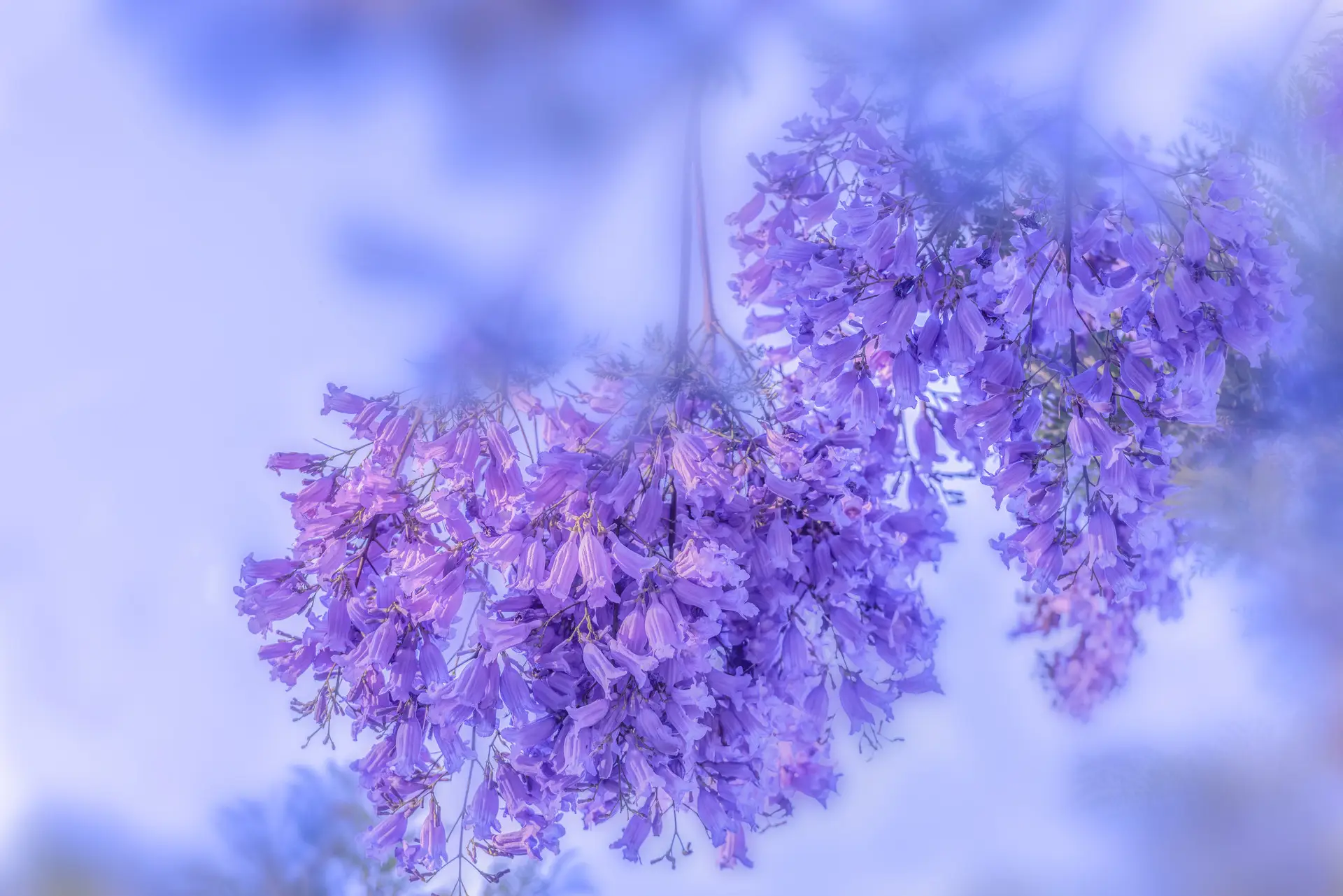 男人遇到真爱身体反应有哪些（男人遇到真爱的生理反应）