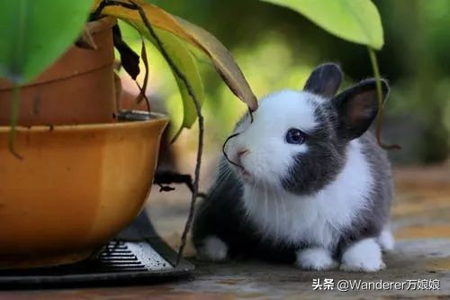 10句特别阳光的英文句子，撑不下去的时候读一读，舒怀很多