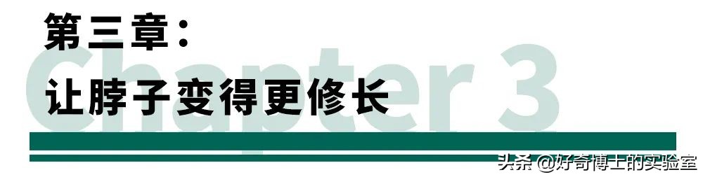 有哪些可以提高颜值的小技巧？