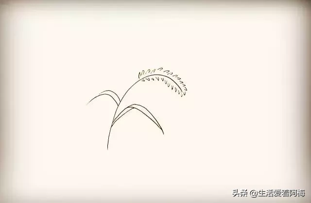 手帐必备素材：9步骤画狗尾巴草，小草简笔画教程，记得收藏哦