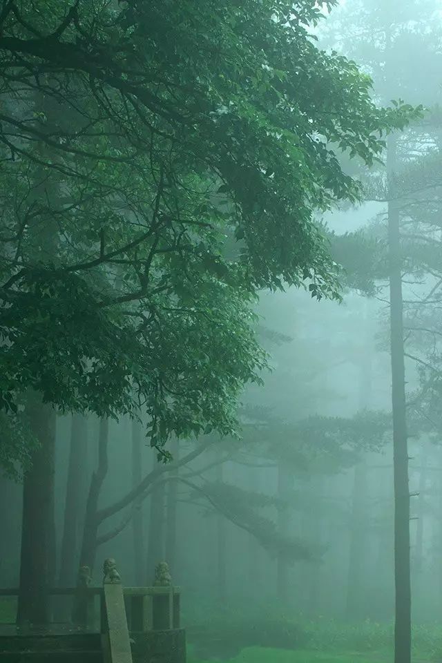 忧伤的雨，总是勾起对你的思念