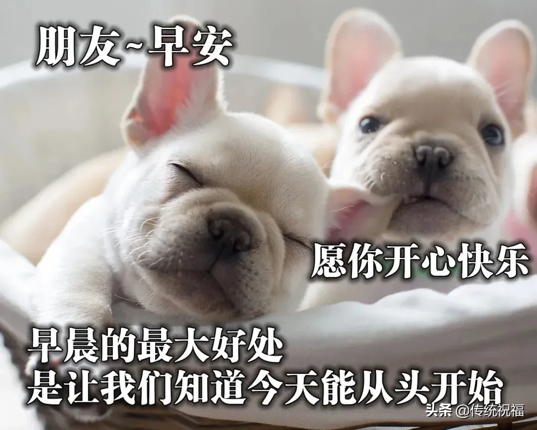 采摘一缕阳光，照亮你的每一天；采摘一缕芳香，让香气伴你入眠