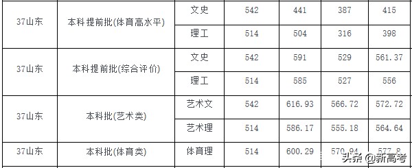本科批来了！青科大、山财、聊大录取查询及投档情况汇总