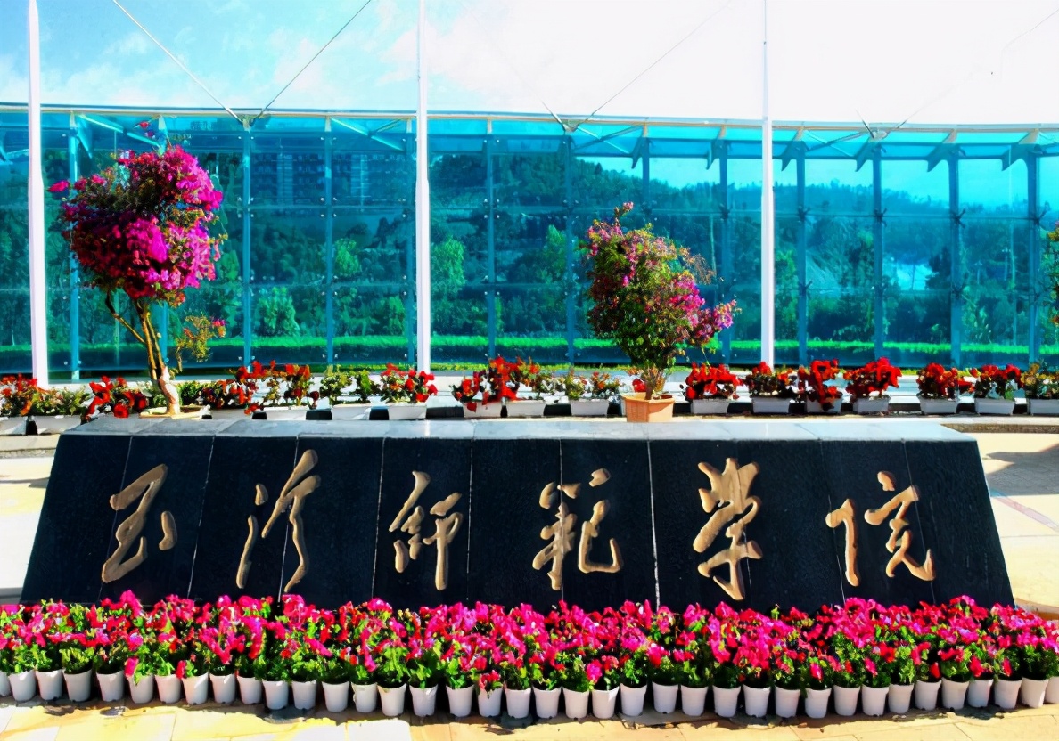 2021高考报志愿，400多分就能录取的4所师范类院校，考生可以参考