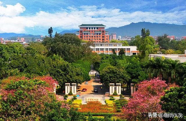 给广东省的本科大学排排序，看看谁能进前十