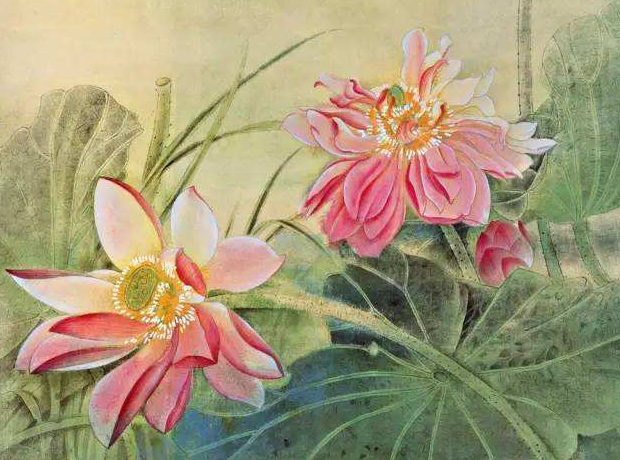 心如莲花，人生便能祥和、安然，一路芬芳