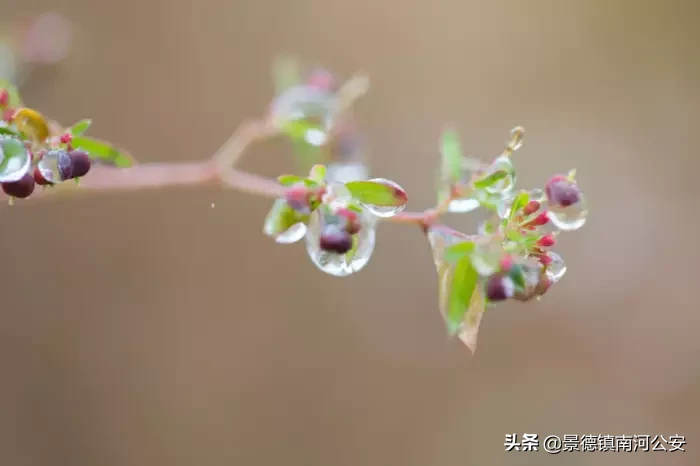 这4首诗词告诉你：人生的路，我们终究要学会一个人去走