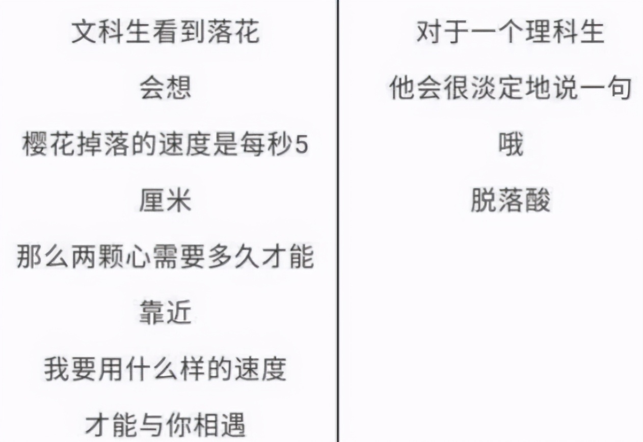毕业后才发现，文科生和理科生差别这么大，幸好当初没有选错