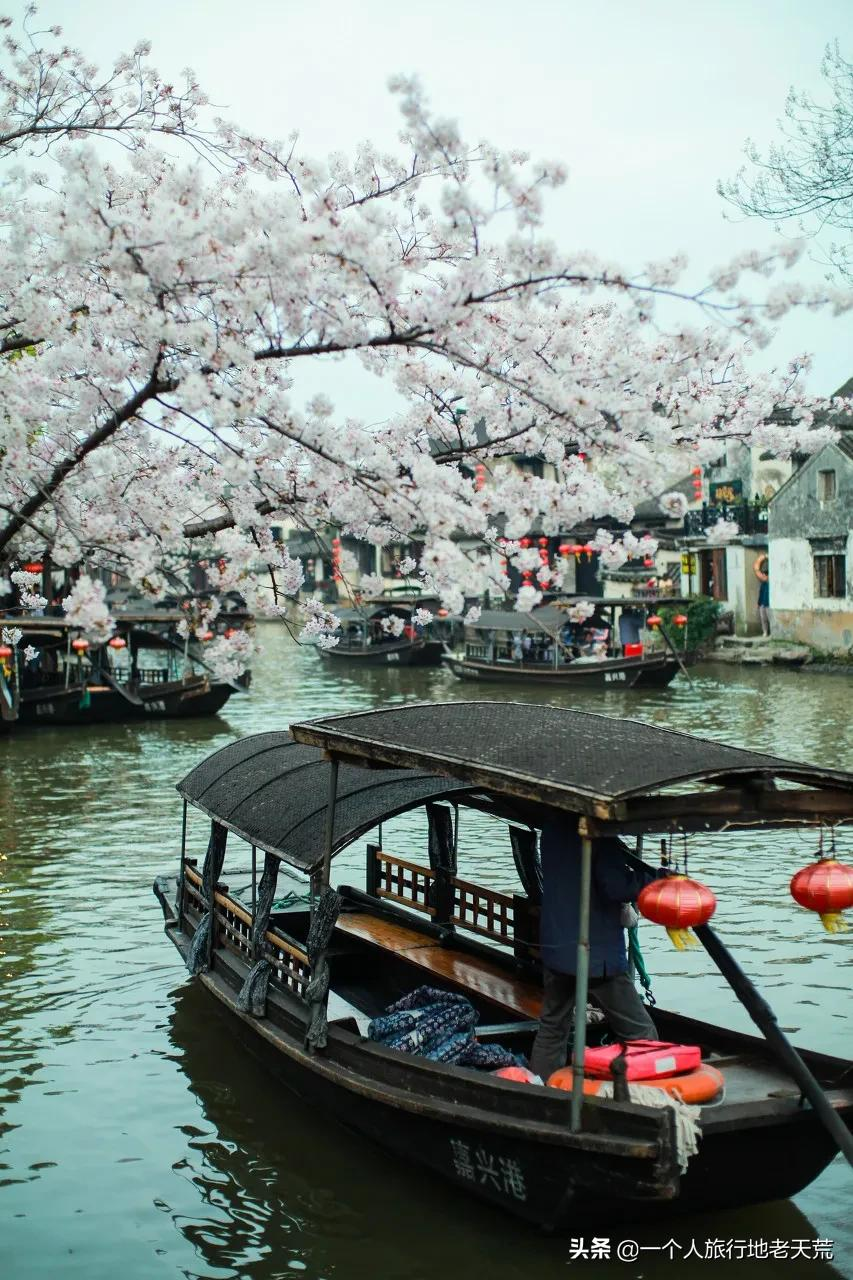 江南这么美,所以这个三月,春风十里不如下江南