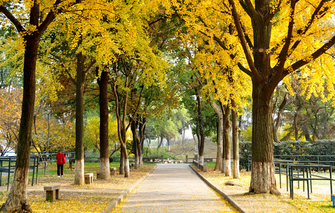 最新！2020江苏省高考成绩重磅公布！内附苏州大学2019年录取分数线！