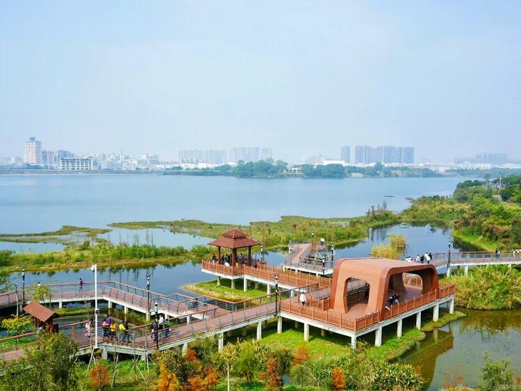 深圳十大免费特色的湖泊公园