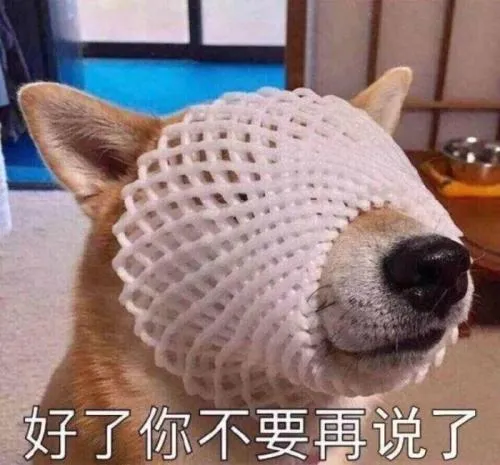 养一只狗,到底要花多少钱?