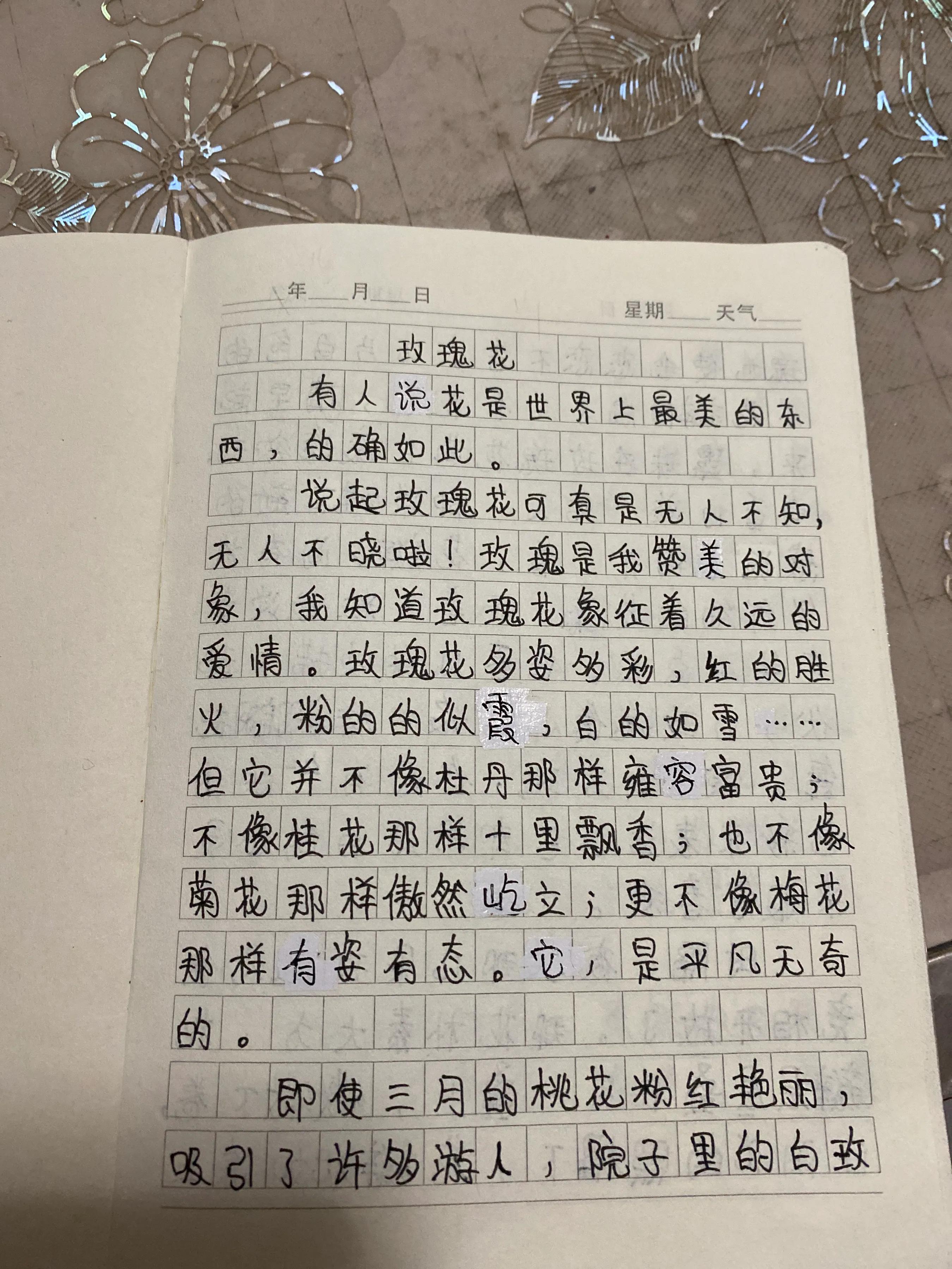 玫瑰花怎么写作文300字三年级(老师直夸好的玫瑰作文)