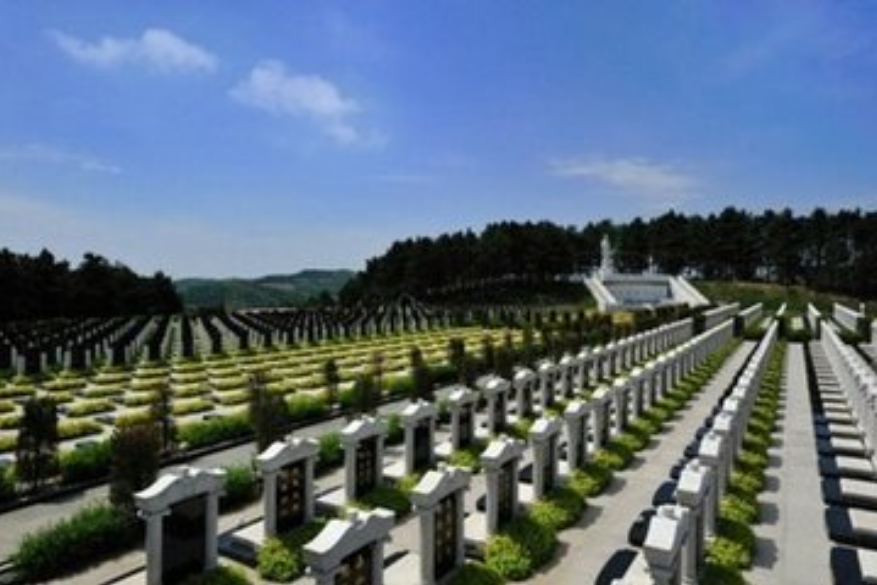 20年一交费，墓地使用年限如何界定，民政部答复