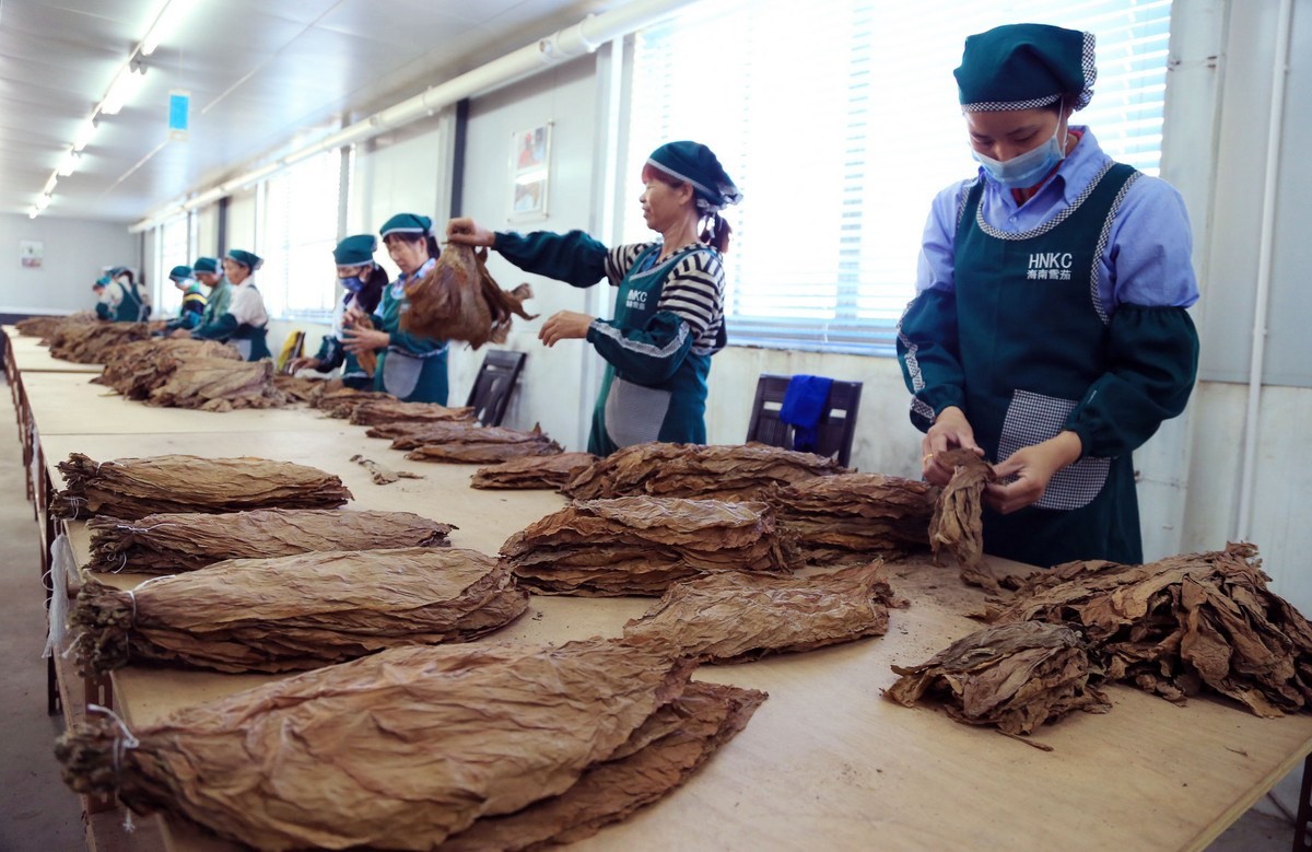 真假难辨，比真烟还好抽？云霄县造了20年假烟，席卷百亿美国市场