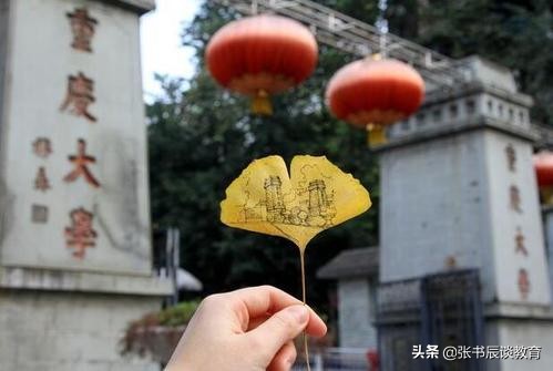 重庆大学分数线，2020年重庆大学高考分数分析