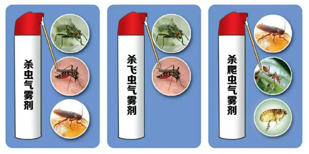 雨后10天是蚊虫叮咬高峰期!6件事帮你先发制“蚊”