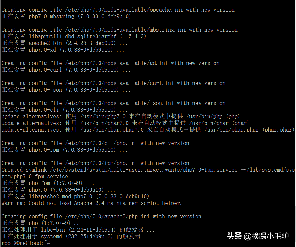 玩客云系列3之debian安装WEB环境nmp(中)