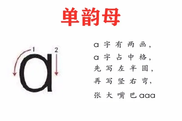 aoe拼音字母表（单韵母aoe的正确写法）