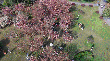 走出蛟龙号设计师、世界五百强总裁，创下多个第一，南华大学超火