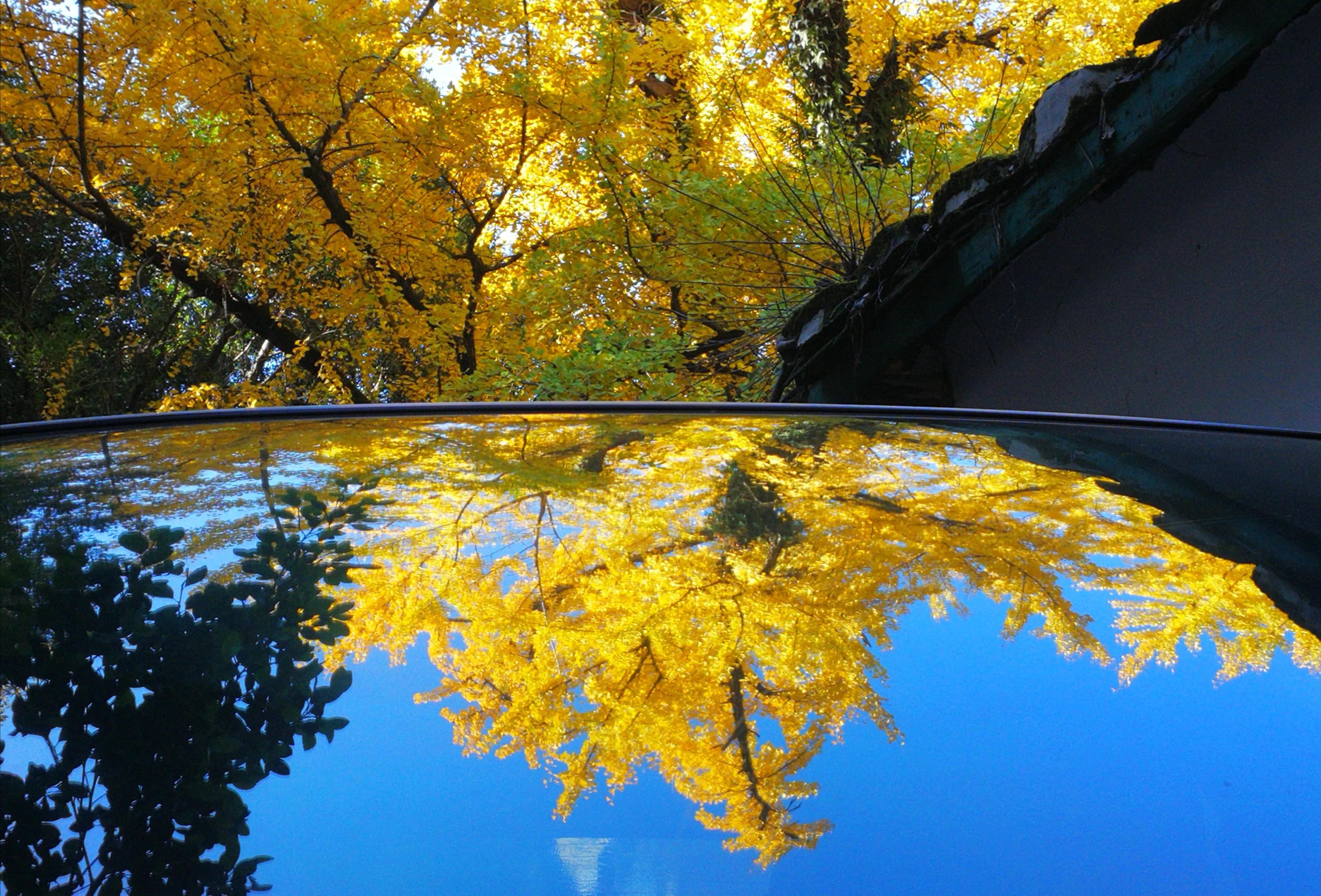 手拍世界（手机摄影平台）-群员作品集（总第733期）