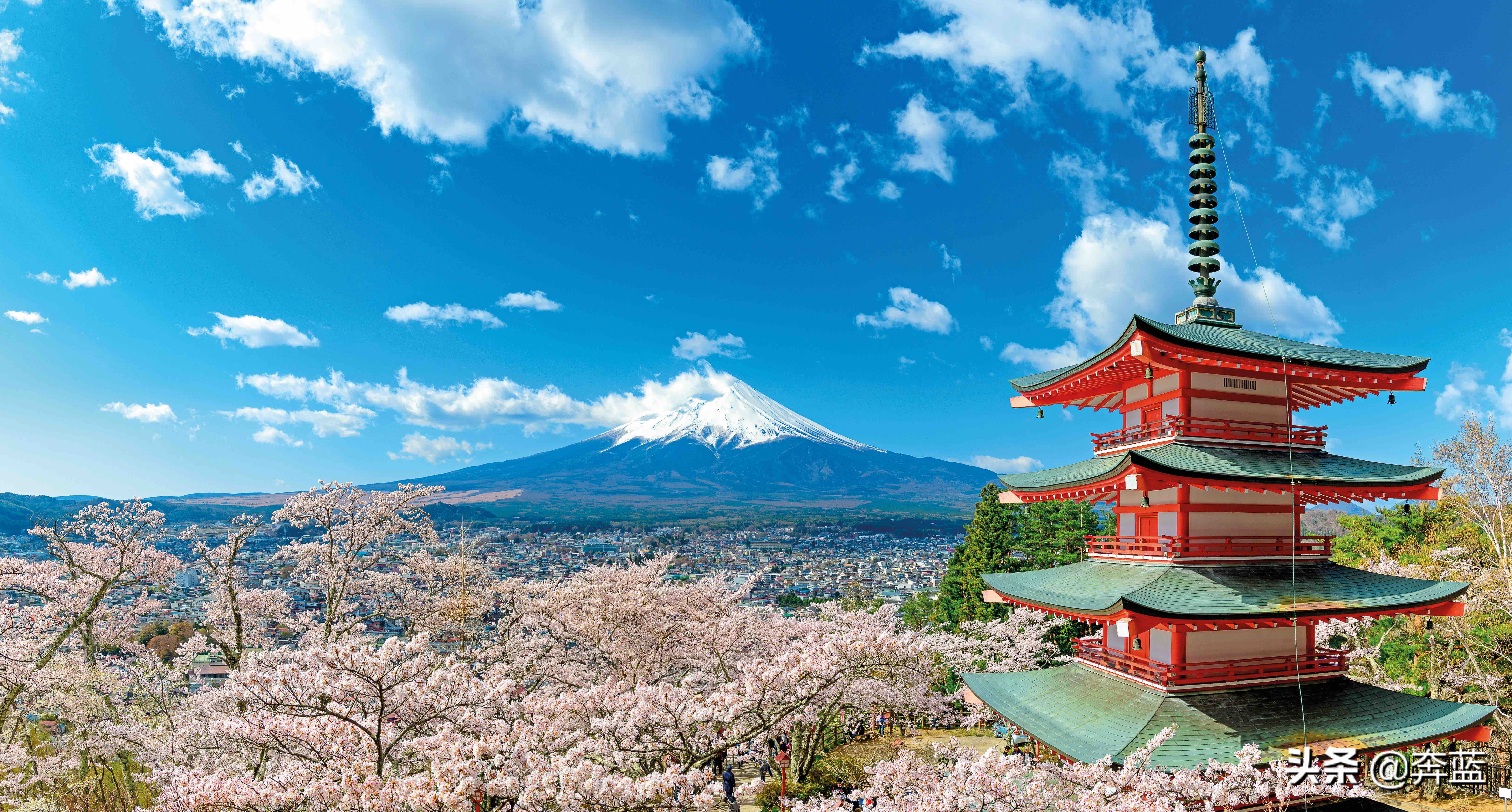 日本本州岛旅游景点：香岚溪、梦之吊桥、富士山、五重塔、樱花