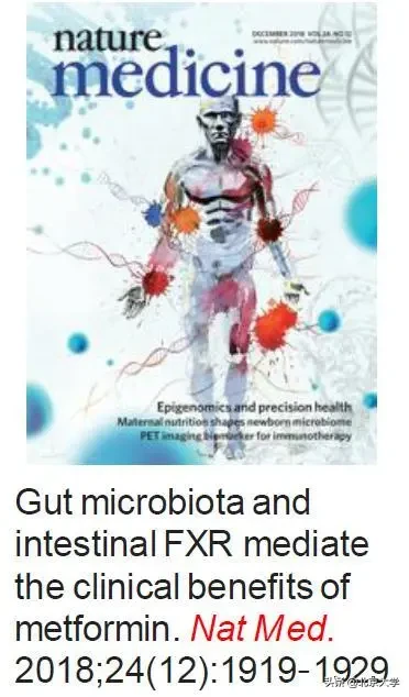强基计划，北大医学等你来！