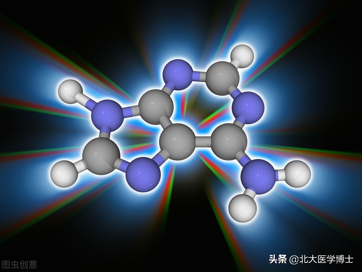 尿酸高或痛风，不是体内生成嘌呤太多，而是排泄尿酸太少，为啥？