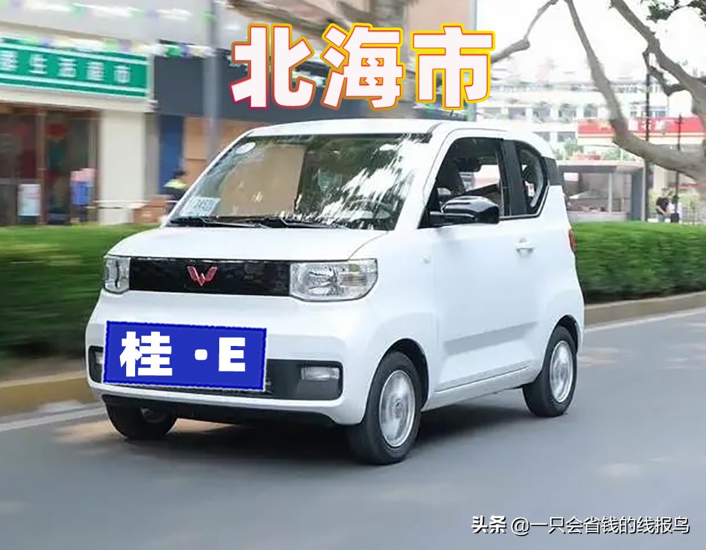 å¹¿è¥¿å£®æ—�è‡ªæ²»åŒºæ±½è½¦ç‰Œç…§å&shy;—æ¯�æ�’åº�