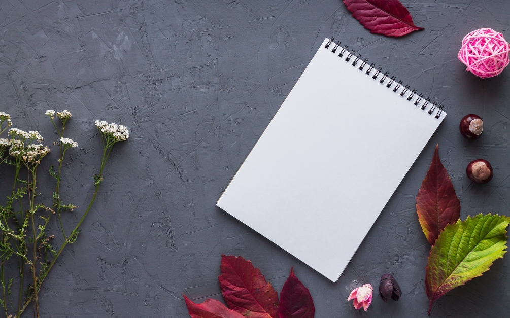 领导标配，地位很高，秘书们来自哪个大学专业？