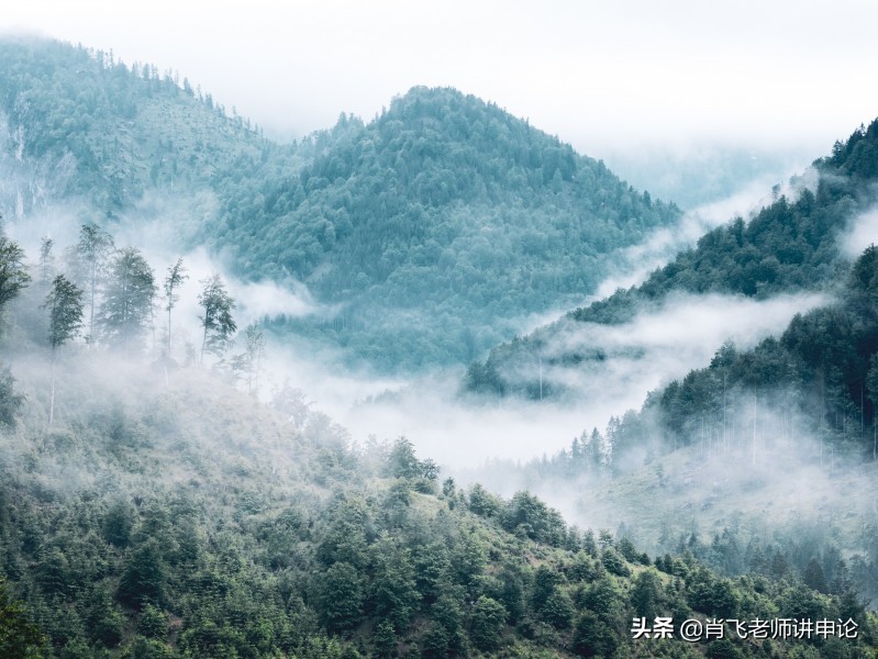 发言稿怎么写格式，优秀发言稿的正确格式模板