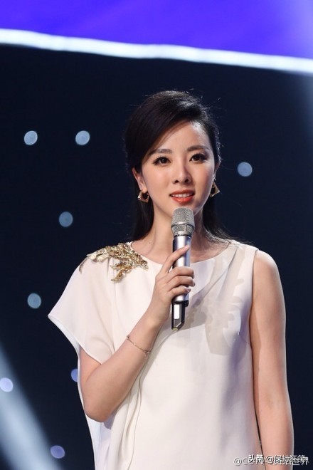 央视十大美女主持人