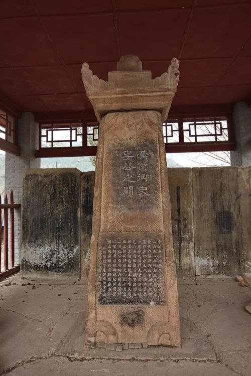 章姓源自扶桑族任姓，基因血统测序可以推敲这个说法