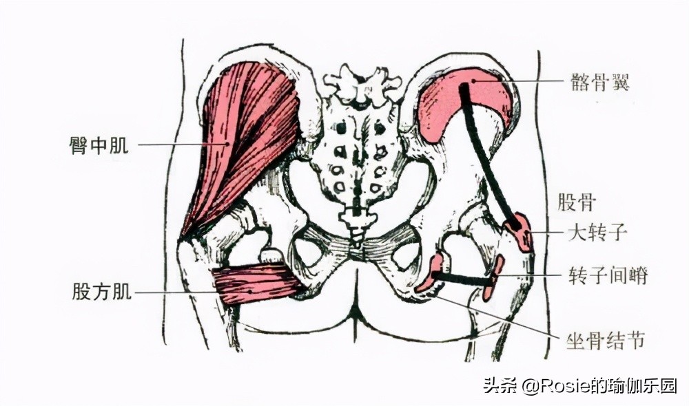 假胯宽、臀肥腿壮？要瘦腿先分清粗腿成因，不走弯路美腿这样瘦