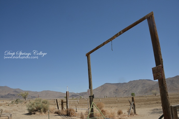 高手套路深，排名不认真！起底那些不参与排名的美国大牛校