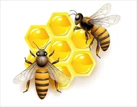 关于蜂蜜香的散文
