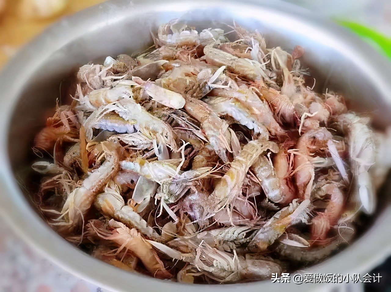 海蝦的種類,海蝦的種類及圖片