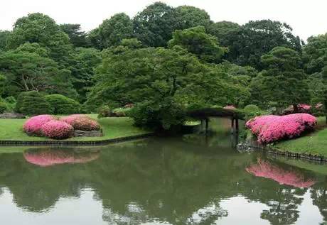 日式园林植物配置浅析