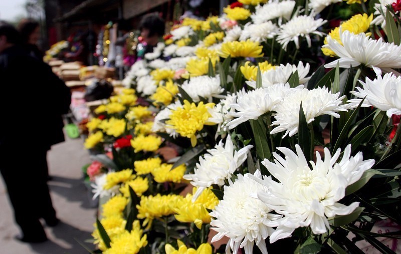 20年一交费，墓地使用年限如何界定，民政部答复