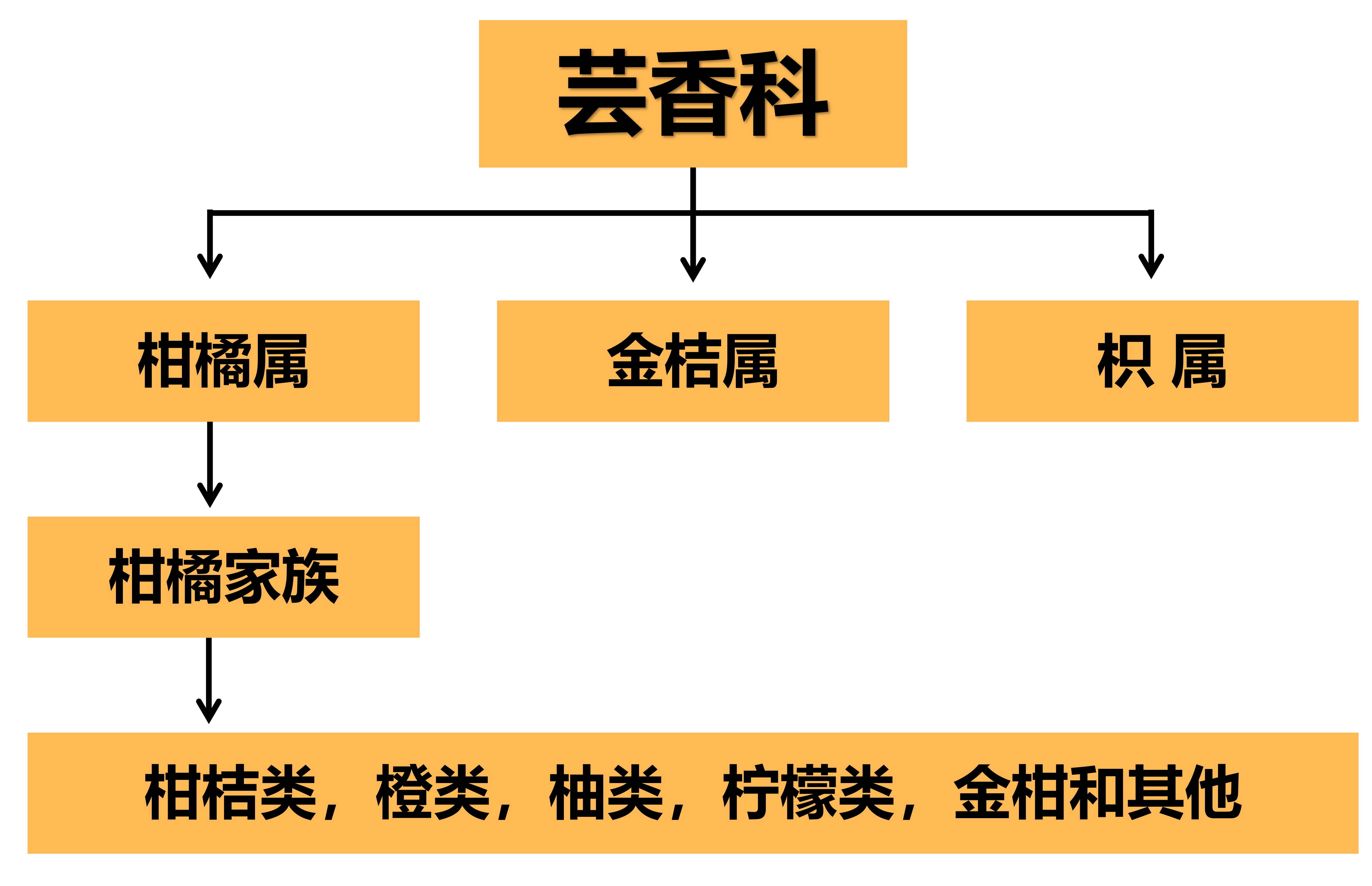 吃了这么多年依然蒙圈！桔子、橘子、橙子、柑、柚子到底啥关系？