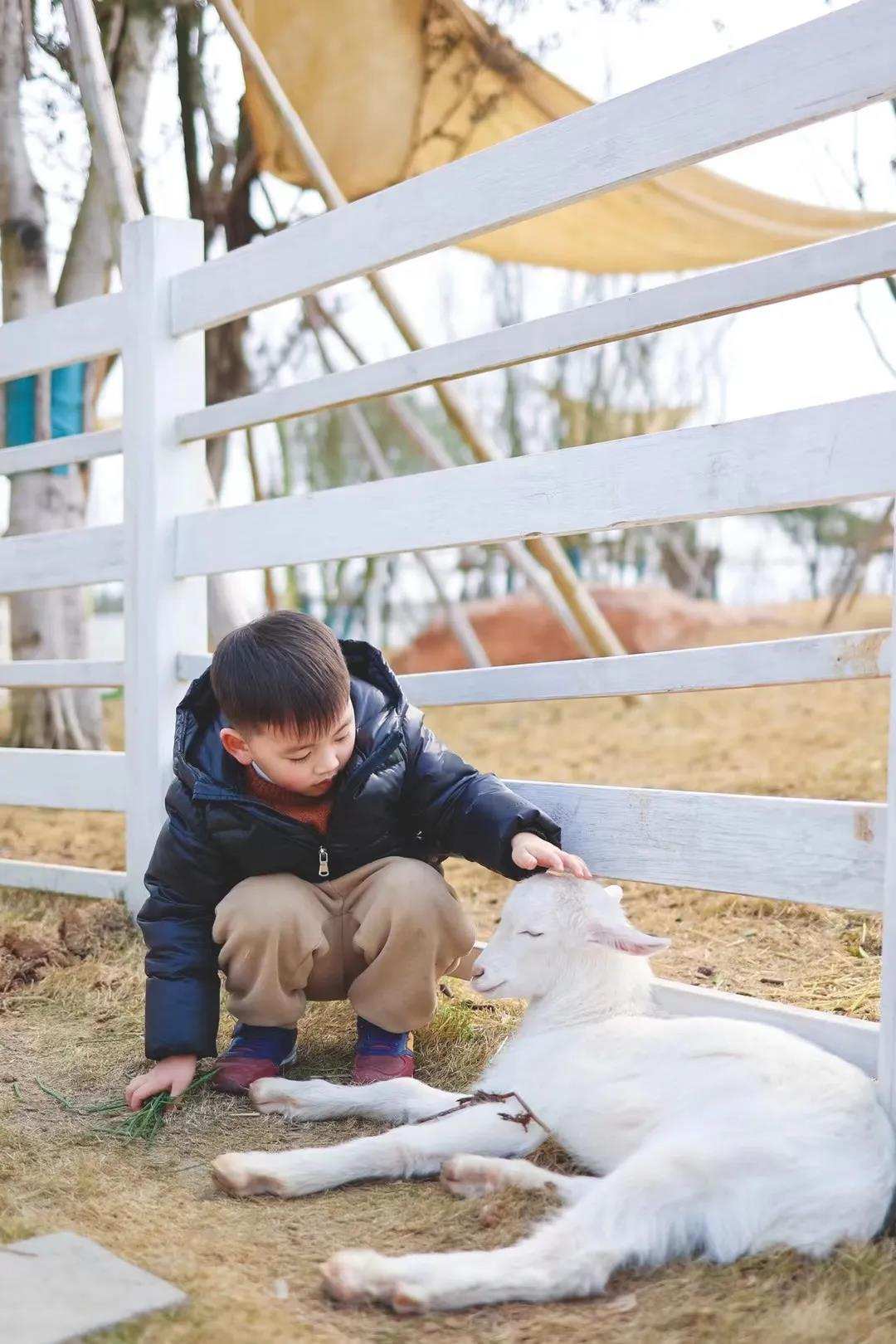 成都经典一日游：15个市内景点，地铁直达，全民撒欢玩