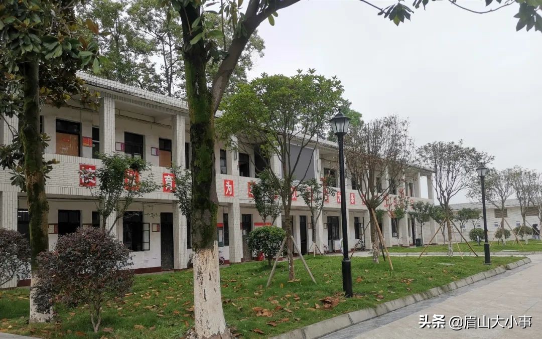 眉山仁寿龙正中学2020年普通高中招生简章来啦