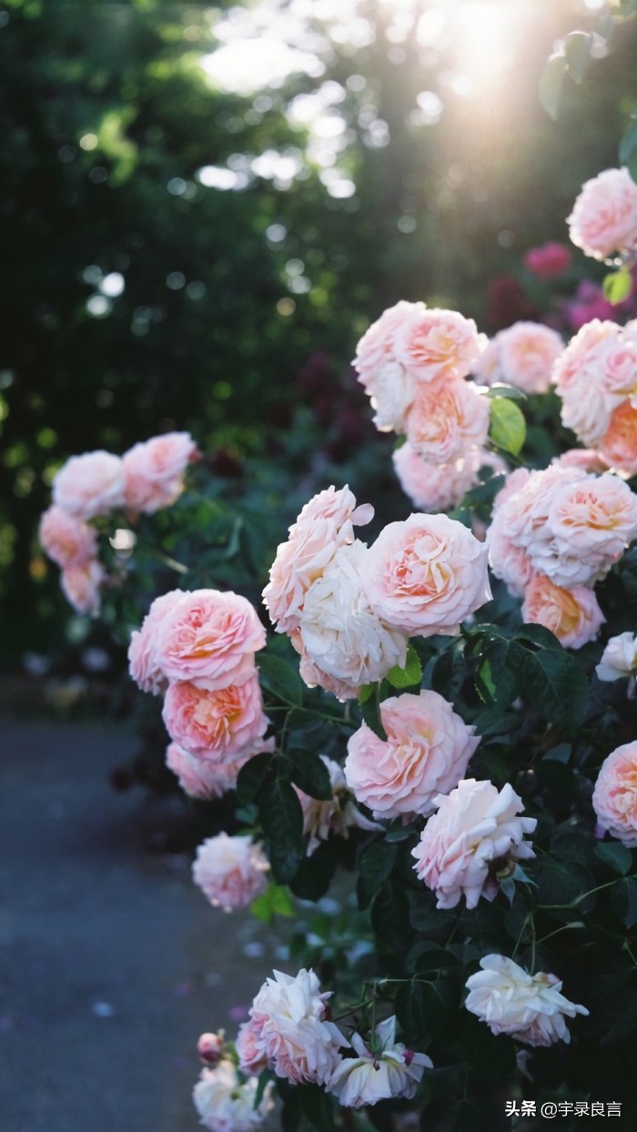 夜生活说说朋友圈有哪些?