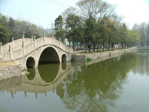 2019 年南理工化工学院拟录取名单（一志愿）