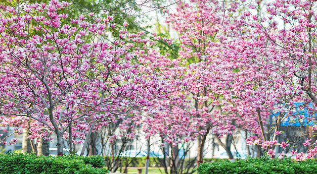 华北电力大学北京2017-2018年录取分数统计
