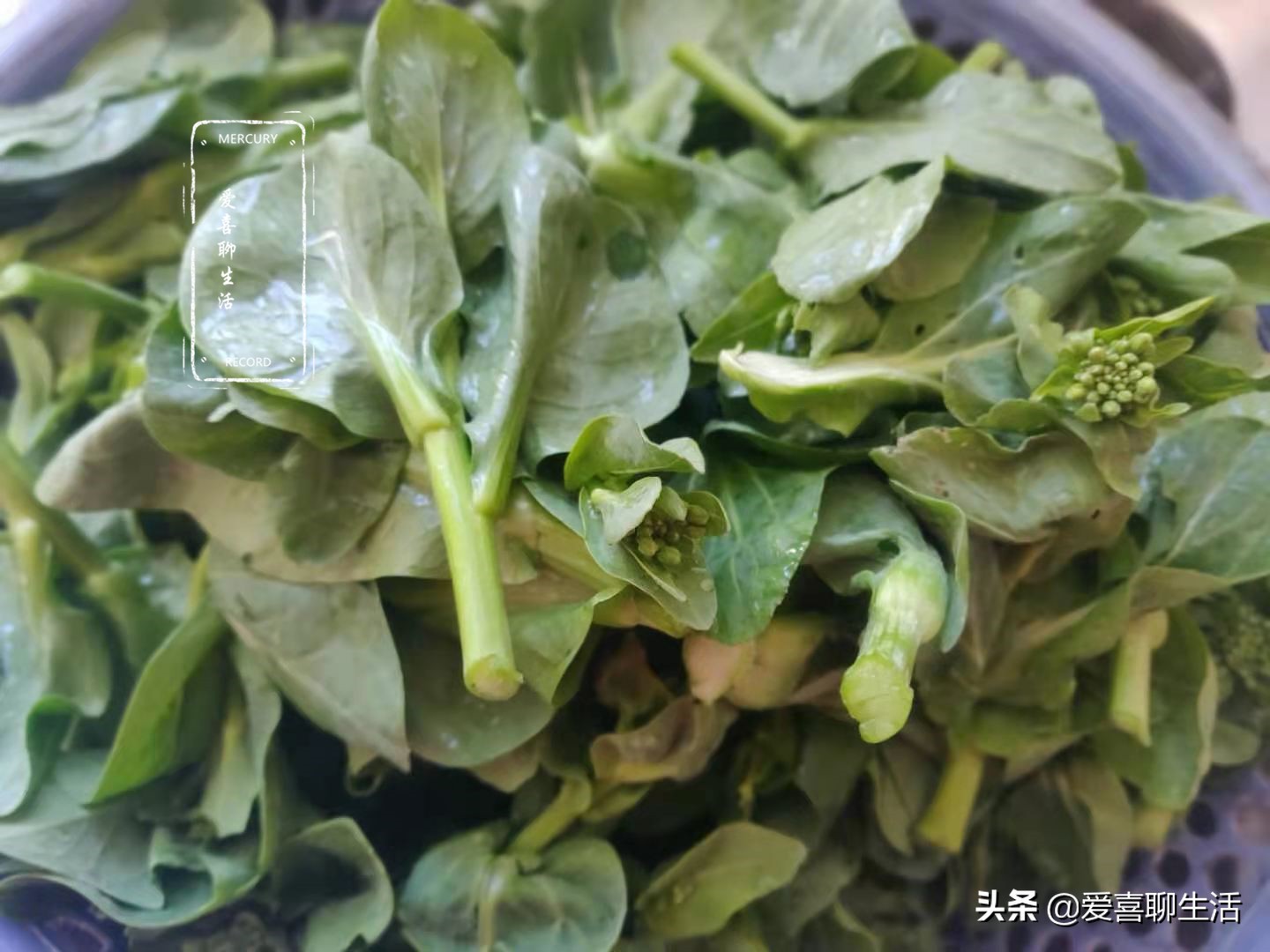 青菜怎么做好吃（来盘这样做的青菜鲜嫩美味）