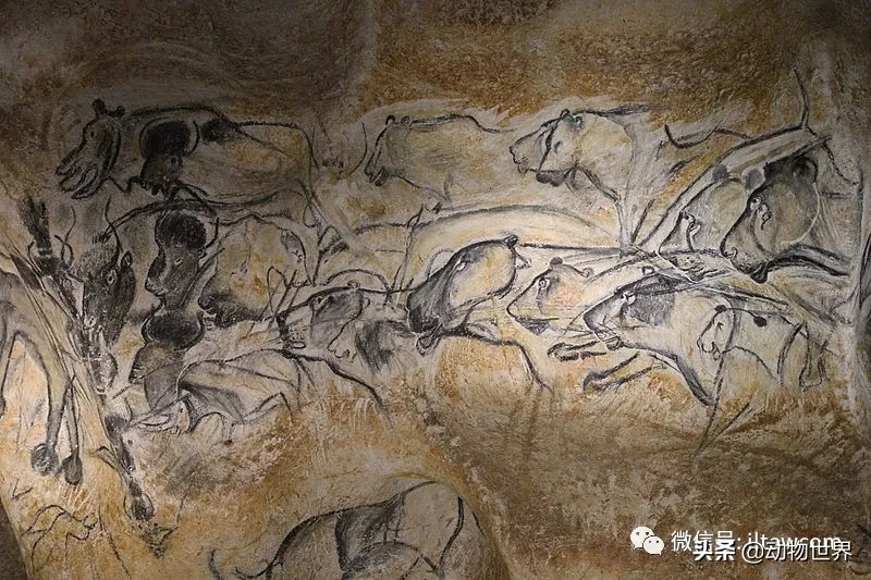 10种曾与人类同行的巨型野兽