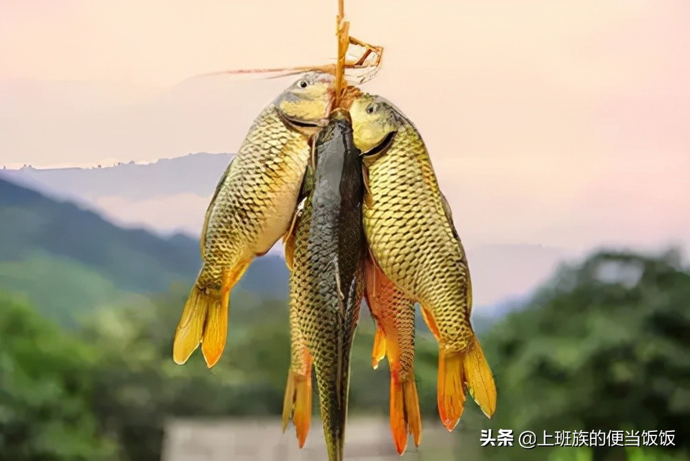 鯽魚湯怎么做,鯽魚湯怎么做好喝又營養(yǎng)